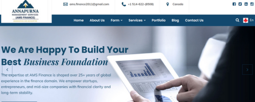 Digital Marketing Success Stories